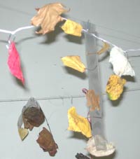 feuilles d'arbres séchées suspendues à un fil