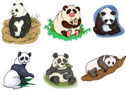 images de pandas