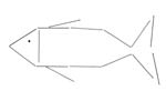  modèle de poisson