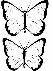 papillons à décorer symétriquement